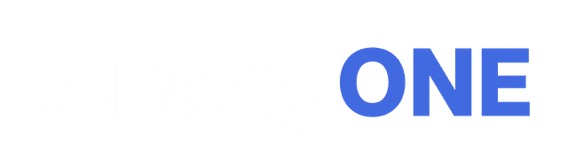 ANEXY One